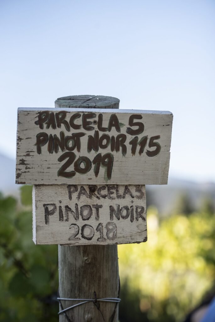 Bodega Casa Yagüe
