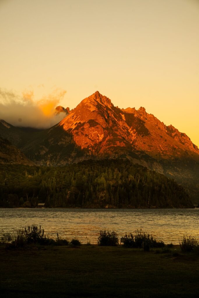 ODA Patagonia