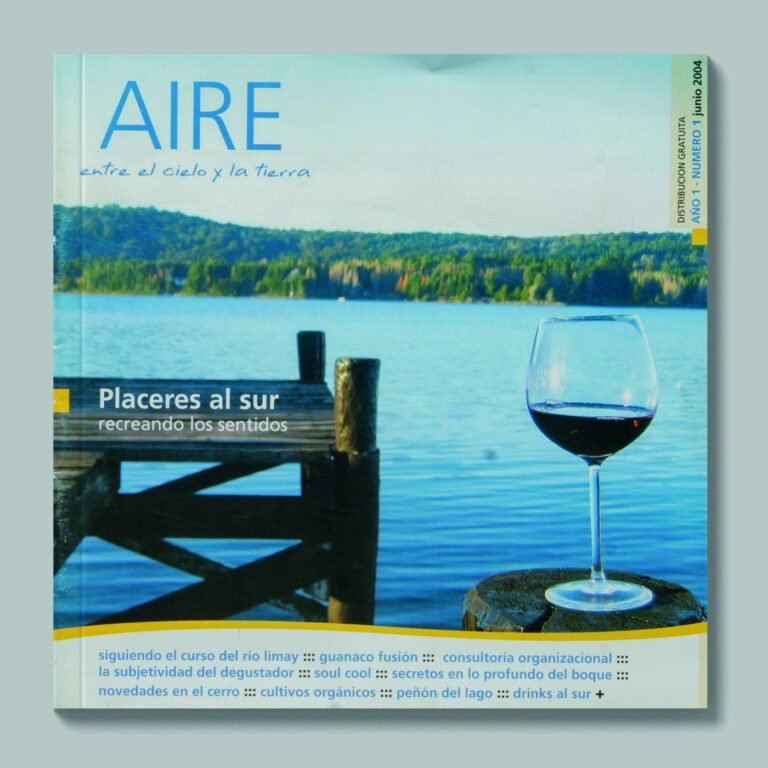 Tapa de AIRE #1