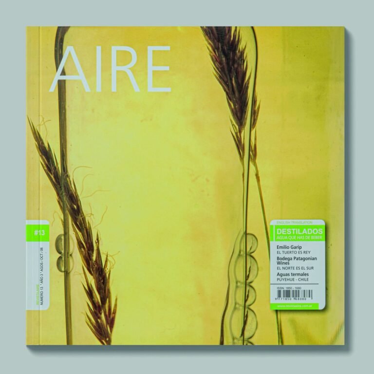 Tapa de AIRE #13