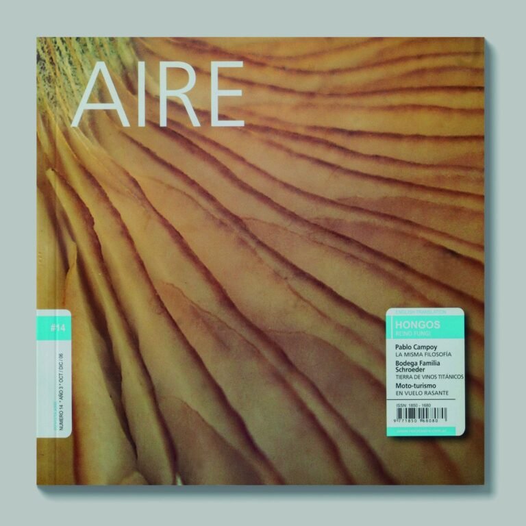 Tapa de AIRE #14