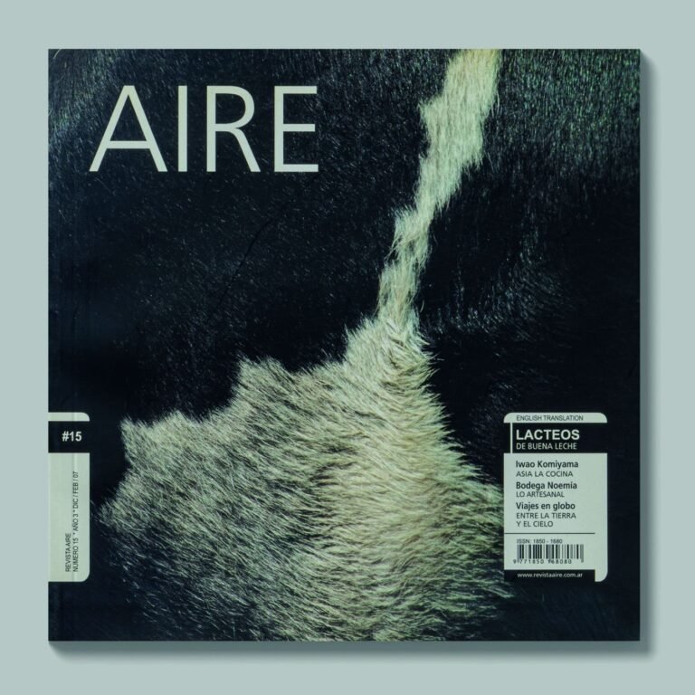 Tapa de AIRE #15