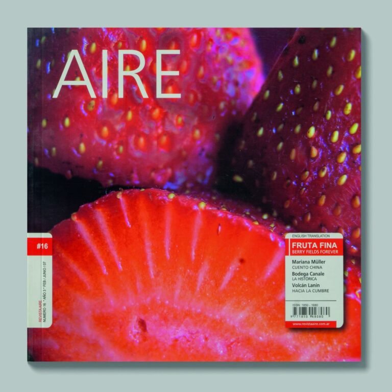Tapa de AIRE #16