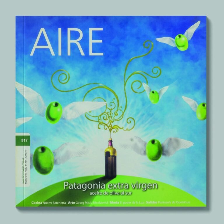 Tapa de AIRE #17