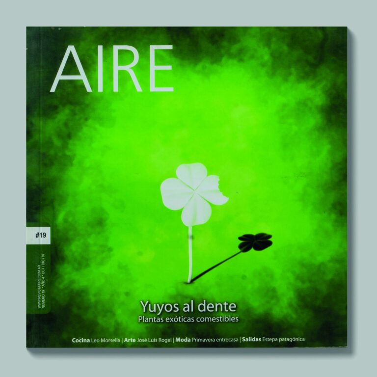 Tapa de AIRE #19