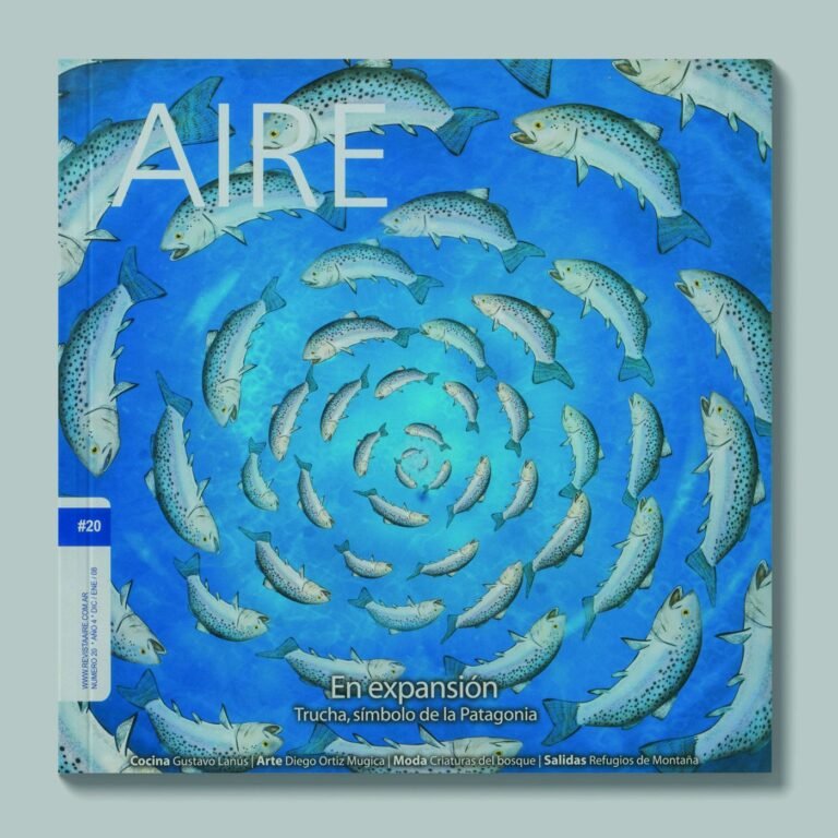 Tapa de AIRE #20