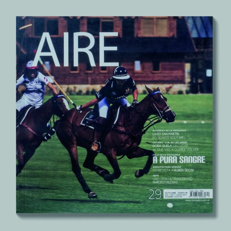 Tapa de AIRE #29