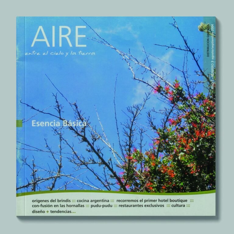 Tapa de AIRE #3