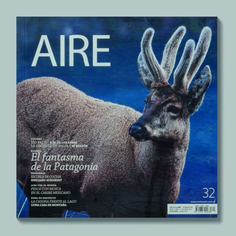 Tapa de AIRE #32