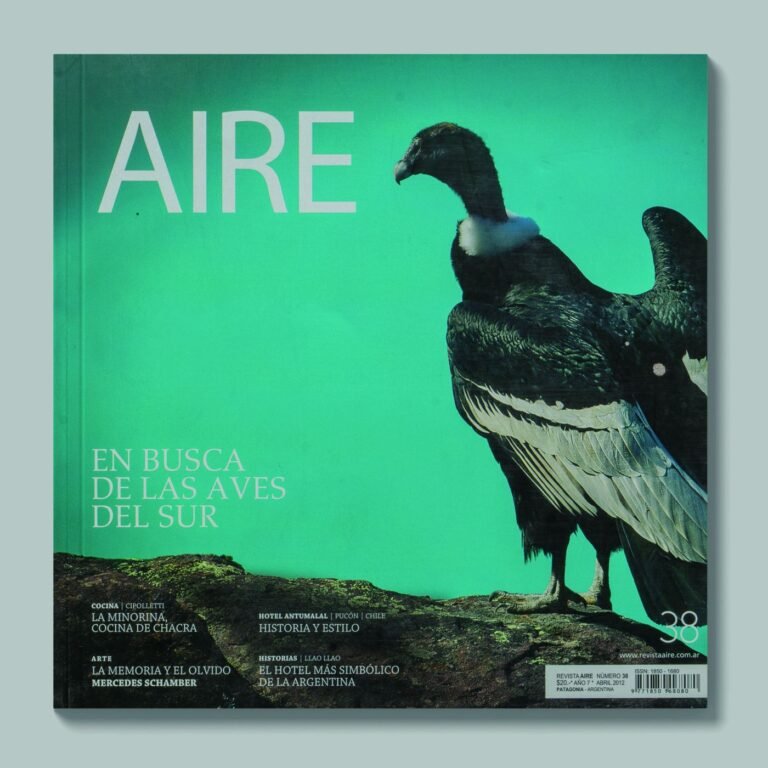Tapa de AIRE #38