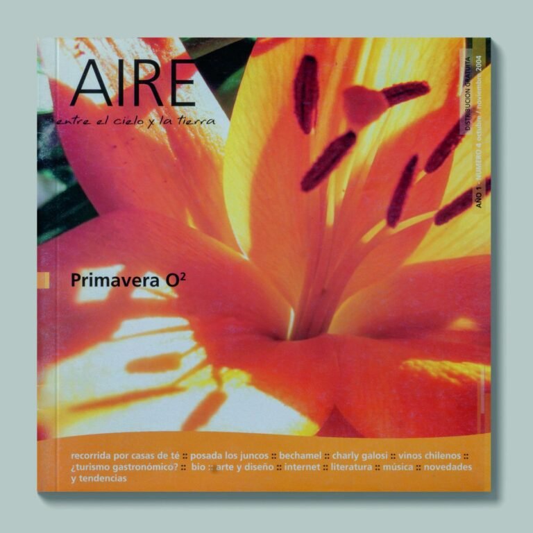Tapa de AIRE #4