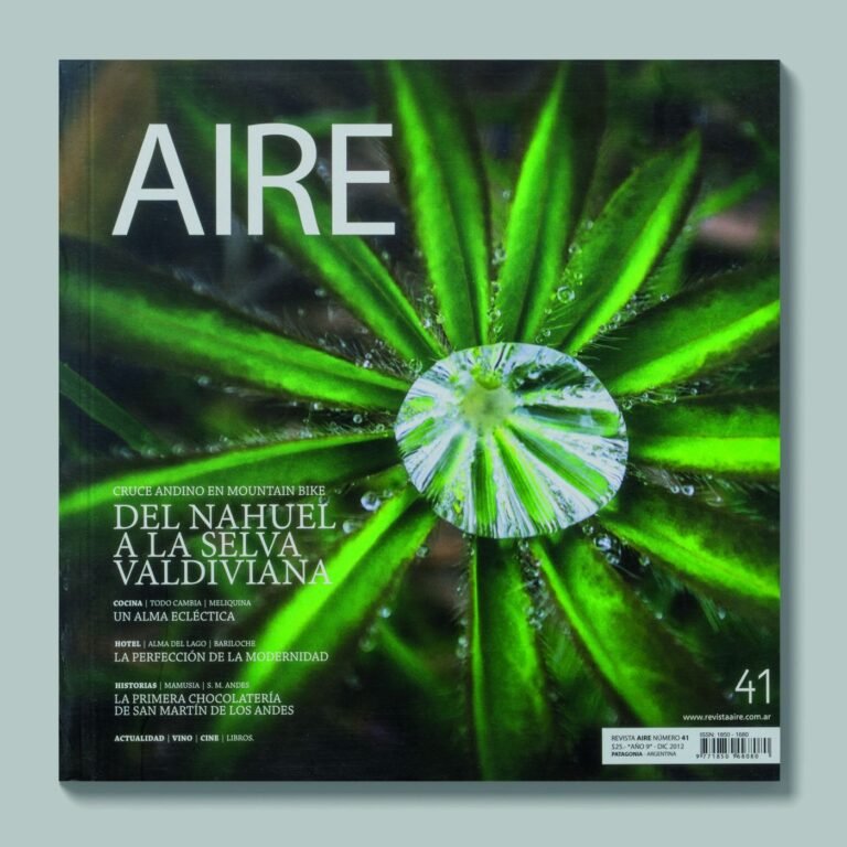 Tapa de AIRE #41