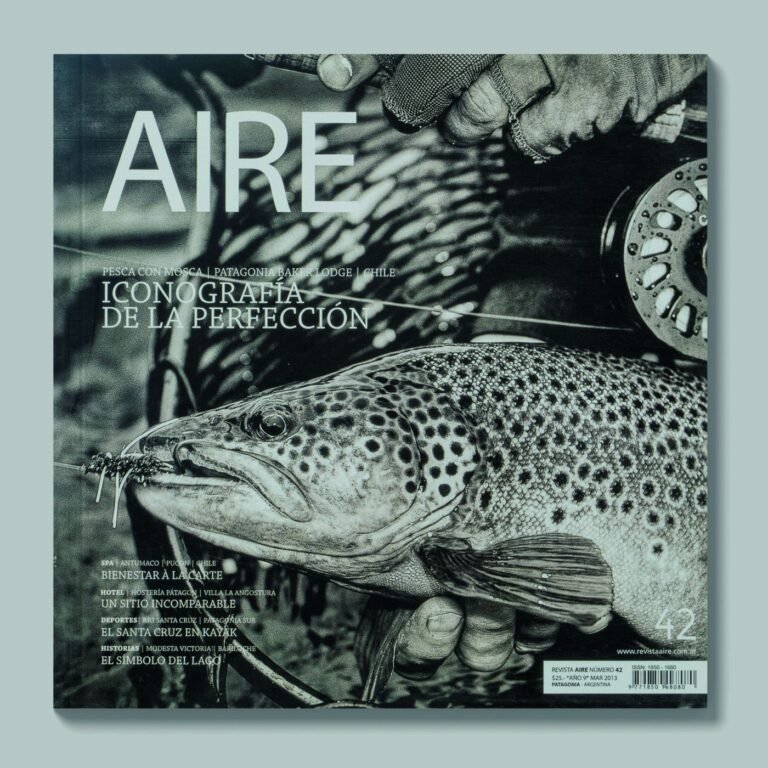 Tapa de AIRE #42