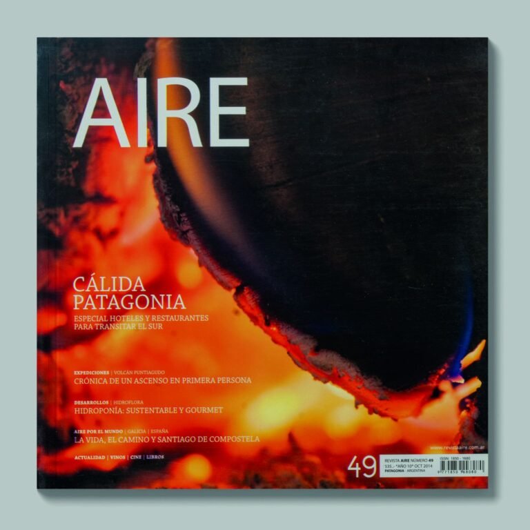 Tapa de AIRE #49