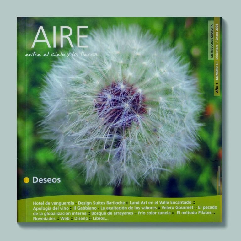 Tapa de AIRE #5