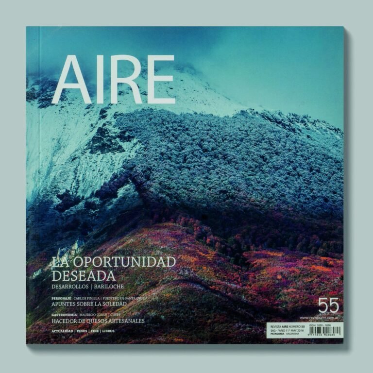 Tapa de AIRE #55