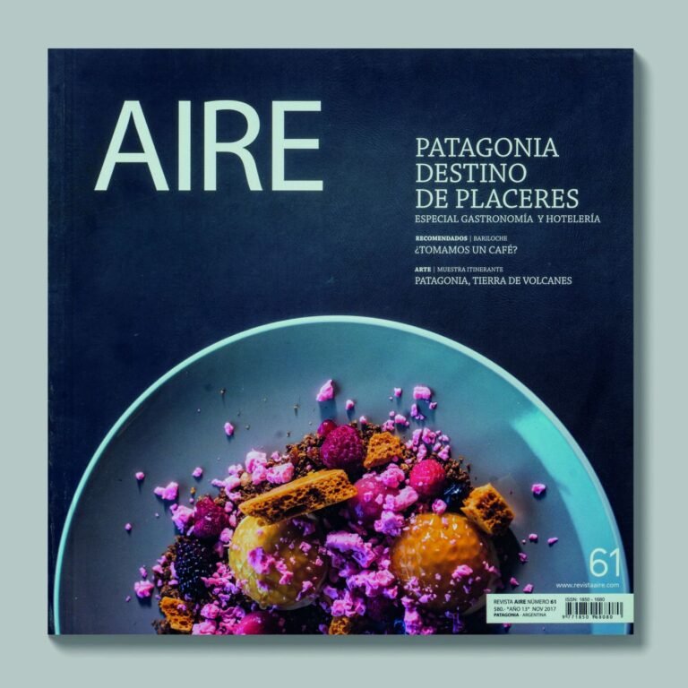 Tapa de AIRE #61