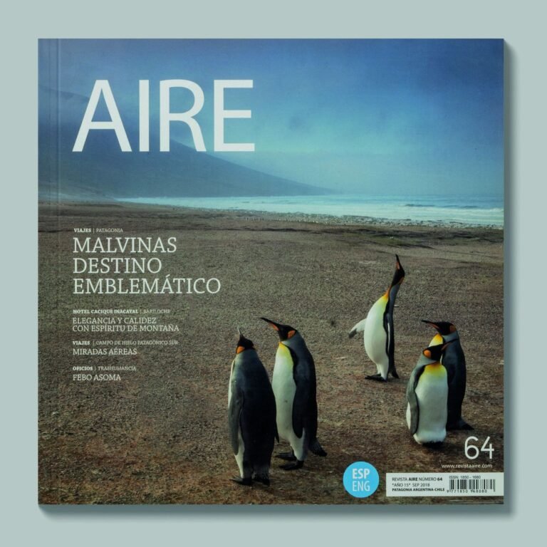 Tapa de AIRE #64