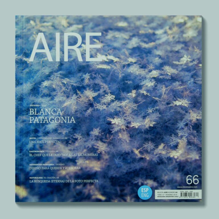 Tapa de AIRE #66