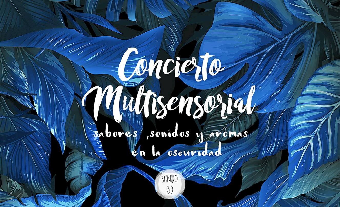 “Concierto multisensorial”: un safari de emociones en la oscuridad