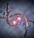 ¿Lamarck no estaba tan errado? Un nuevo enfoque de nuestros genes