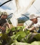 Un alma ecléctica de naturaleza cambiante :: TODO CAMBIA :: MELIQUINA