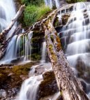 Un salto a la belleza