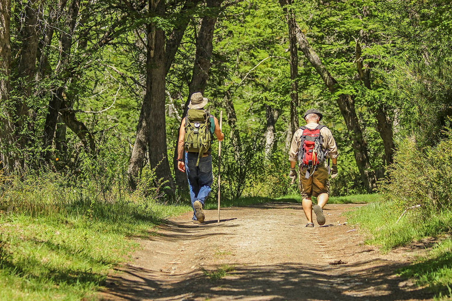 Recomendaciones de Parques Nacionales para salir a la montaña
