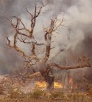 Incendios en la Patagonia