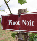 PINOT NOIR: Siete razones que te enamorar