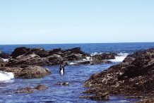 Valdivia, con aires europeos pero más cerca