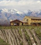 Piattelli, vinos con el ADN de los mejores Terroir