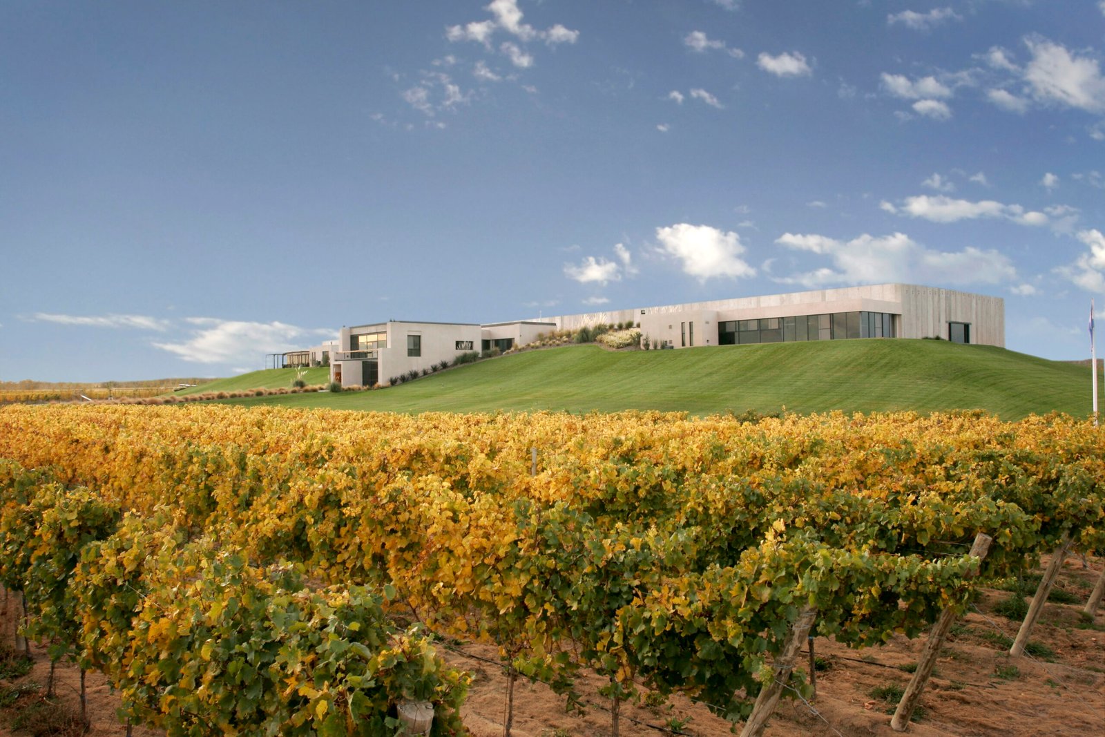 Vinos orgullosamente patagónicos