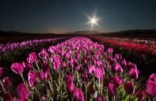 Se realizarán salidas de fotografía nocturna en Esquel